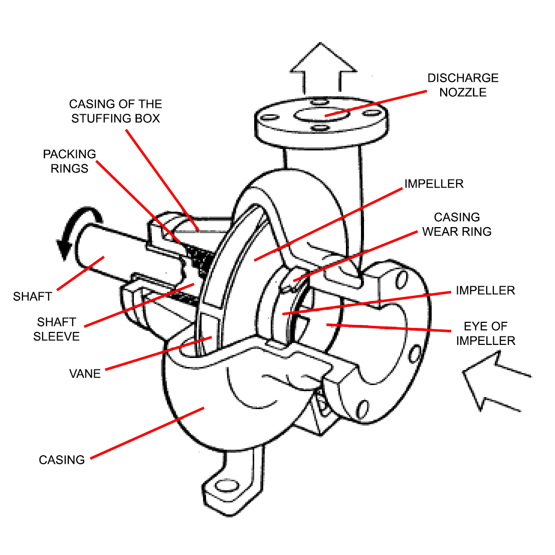 Pumps For Rainwater Harvesting Systems - Paige Brue